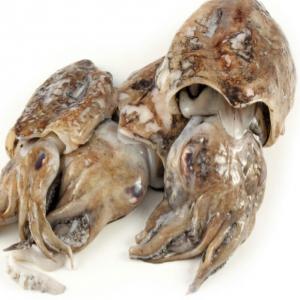 Galass Poissonnerie - poissons spécialiste en vente de poisson fumé ou frais,  fruits de mer gambasse  crevettes avec une qualité et une fraîcheur inégalée le tout à des prix défiant toute concurrence. 