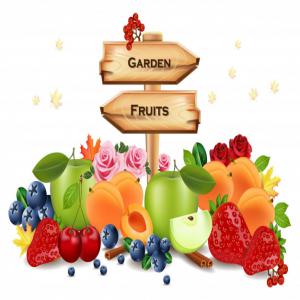 Production et distribution des fruits frais,secs  - fruits secs et graines grillées bonjour, ----je représente une entreprise qui s'occupe de la production des fruits frais et secs ( cerises,  pommes,  prunes,  abricots).--nous sommes à la recherche soit d'un investisseur pour augmenter la capacité de productions et d'approvisionnement le marché internationa