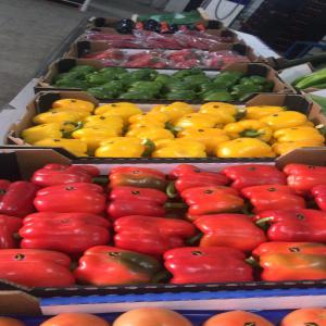  vente Fruits et légumes 