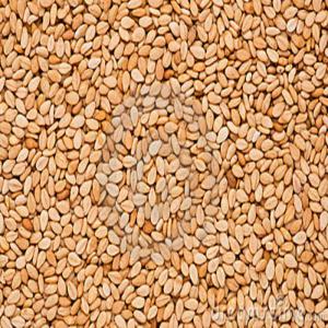 Whitish Seasame seeds - cereals origin. sudan , -- season 2020/2021,  commercial type--fob port sudan--certificates- phytosanitary,  health export,  fumigation,  bill of laden,  commercial invoice,  cer of origin