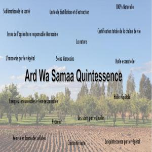 Huiles essentielles de l'Atlas - huiles bonjour honoré d'avoir cette plateforme de professionnels. je suis un jeune marocain qui entreprend depuis 5ans dans les différents domaines agricoles. surtout le domaine des huiles essentielles et huiles pures végétales et hydrolats- aujourd'hui je viens vers vous parce 