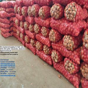 Sell onion  garlic / oignon ail - fruits and vegetables we  are grower and supplying  for  garlic ,  onion (fresh,  dried,  golden,  red) and other,   directly from egypt all over the year.   --packing according customer needs