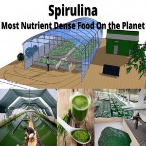 Construction d'une ferme de spiruline - autres je recherche un partenaire qui financera mon projet,  une ferme de production de spiruline,  je suis okba ibnou nafaa mendas 27 ans,  je suis diplômé d'un master en biochimie,  j'ai étudie le projet depuis 2018,  j'ai rassemblé des contacts qui m'ont aidé collecter les i