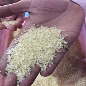 Riz indien Parboiled 100% Sortexed - céréales nous sommes une société opérant dans le secteur du riz. nous sommes spécialistes du riz d'origine indienne,  pakistanaise,  thailandaise. nous pouvons vous fournir du ir64 parboiled rice 5%,  25%,  ou 100% brisure,  de très bonne qualité à un bon prix. nou