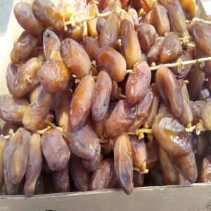  Dattes Deglet Nour disponible pour export  - fruits secs et graines grillées producteur,  conditionneur spécialisé de toutes sortes de dattes algerienne . la force de l'entreprise repose sur ses solides partenariats avec les principaux producteurs de dattes en algérie. --toutes les dattes produites et conditionnées par nos soins répondent &a