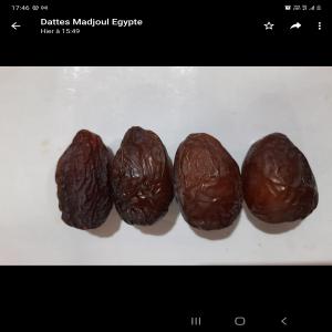 Dattes madjoul - fruits et légumes je dispose de 5tonnnes de dates de bonne qualité de variété madjoul je les stock dans mon entrepôt situé dans le 95 val d'oise si des clients sont intéressés veuillez me contacter