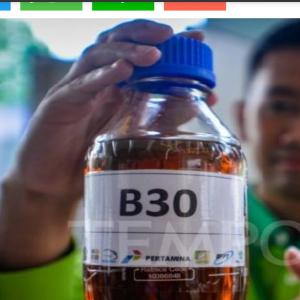 OILS B10 Bio 30 BIO100 PALM OILS CPO CP8 CP10 - olis we have palm oils available,  origin indonesia--biodiesel 10, 20, 30, 100--we have palm oil available,  origin indonesia,  malaysia,  cpo,  cp8,  cp10--