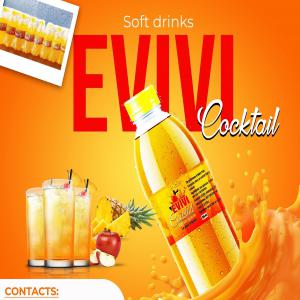 RECHERCHE DE DISTRIBUTEUR EXCLUSIF POUR BOISSON  - boissons non alcolisée nous sommes une entreprise basée au togo. nous sommes dans la production des boissons gazeuses à base des produits naturels.--actuellement nous disposons de deux produits- evivi cocktail et evivi pomme,  conditionnées dans des bouteilles plastiques de 350ml.--le paquet comporte 1