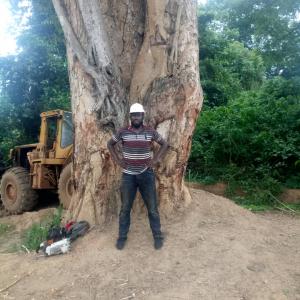 Nous recherchons un partenaire en bois export - bois charbon fibre nous sommes une jeune entreprise du secteur forestier nous recherchons un partenaire dans le cadre de l'exportation des tropicaux notamment celui de la région de l'est cameroun bertoua