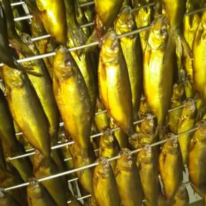 Herring fumé ,graymullet salé,sardine salé  - poissons on cherche des clients pour vente herring fume graymollet, sardine sale de notre usine  sheta import export seafood  pour avoir plus d information veuillez nous contacter