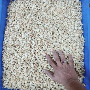 Cashew nuts - roasted seeds and nuts hello,  im importer from algeria i need cashew nuts from 3$/kg qantity 5tn as beginning whit contract long time and payment method  cad or d/p,  thanks------(any supplier requesting the advance or having a price over $ 3 does not send me an excuse)------.