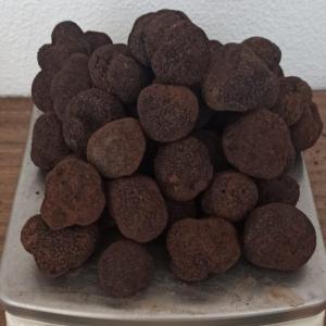 Fournisseur Truffe  - champignon levure bonjour,  je recherche un fournisseur fiable pour  2 à 10 kg de truffes tuber aestivum fraîches par semaine travaillant avec des particuliers,  l'idée et d'avoir des supers prix pour ensuite vendre à des grossistes en grande quantité. --j'ai également de la tub