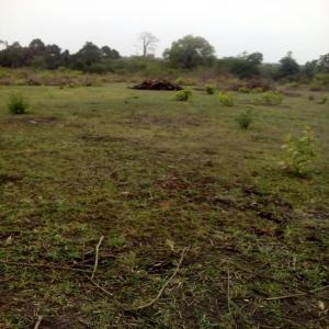 DOMAINES AGRICOLES - mine terrain concession nous mettons à disposition plus de 10.000 hectares de terres agricoles bien positionnées pour tous vos projets agricoles,  industriels et immobiliers. ----nos domaines sont très fertiles et très propices pour des projets agricoles avec de nombreuses possibilités de 