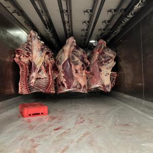 viande boeuf, et agneau halal - viandes et oeufs boeuf et agneau halal d orige de slovaquie et pologne, livraison par camion frigo sur rail , viande fraiche ou congele au choix