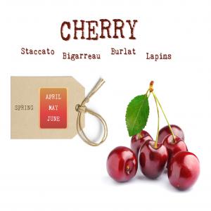 CHERRIES - D'Autor Market - Portugal - fruits and vegetables soon we will have our cheeries available. --get in touch with us. ----burlat,  staccato and lapins--boxes of 2 and 5 kgs----