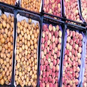 Algerian Apricots and peaches - fruits and vegetables hello--if you are interested we can offer you very good quality apricots and peaches fresh from the harvest of the day with very clean packaging and a reasonable price and be sure that the quality is guaranteed--of southern algeria oasis of biskra--other products are available do not hesitate to con