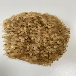 Matta Rice Parboiled - cereals we have ability to supply large quantitie of parboiled matta rice or kerala rice. ----crop origin- india--port of loading- valencia (spain). ----we are looking for a serious partner who can buy this product from us in large quantities and in a regular & consistent basis.----please contact us for fur