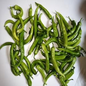 poivron long vert et Piment Vert Algerie  - fruits et légumes bonjour--si vous etes intéressé on peut vous ofrire de poivron long vert et de piment vert de très bonne qualité frais la récolte du jours avec un conditionnement très propre et un prix raisonnable et soyez sûre que la qualité est garantie--de s