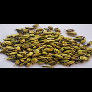 Cardamone verte entière