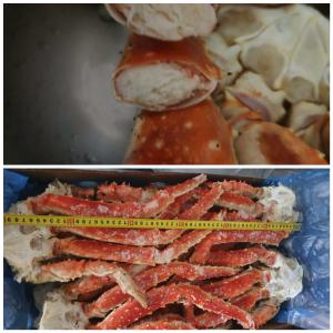 Crabe Opilio Royale - poissons bonjour a tous, --nous avons une quantite de crabe opilio&royal,  la quantite jusq'au 100tonnes par mois,  nous avons des prix competitifs,  les prix dependant de la distination et la quantite .--n'hesitez pas de me contactez si vous etes interessent de notre produit. merci