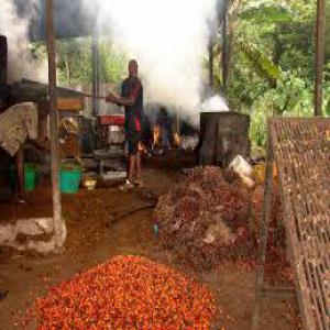 Huile de palme usiné disponible  - autres importante quantité d'huile de palme usiné disponible en côte d'ivoire.--contacter nous pour avoir les différents fiches technique du produits  et proposition de prix.