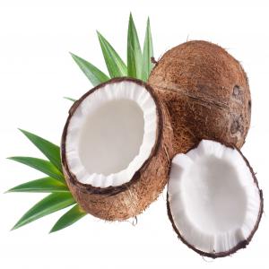 coconuts powder  - other we`re a japanese raw materials maker company based in osaka,  japan we have 170kg of coconuts powder super cheap and with the great quality . please mail me if you're interested . 