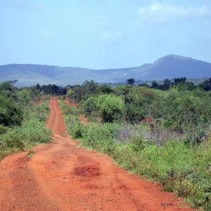 Vente de terrain pour construction  - mine terrain concession je vends 6 hectares de terrain (titré et loti) à yaoundé(cameroun) à raison de 10. 000 fcfa/m2 seulement,  le terrain est situé au lieu dit carrefour nkolfoulou(à 1km800)de l'axe principal sur la route de soa. toutes les transactions se passent devant le nota