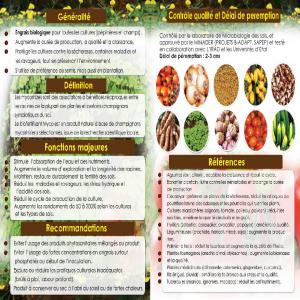 BIOFERTILISANT MYCO   - chimie additif engrais obtenu à partir de ressource locales pour toutes les cultures- vivrière, fruitières, fourragères et agro-forestières 