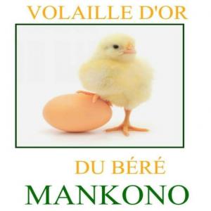 recherche de  grossiste - viandes et oeufs bonjour --groupe est la recherche de grossistes pour ses produit de volailles .donc le nom est volailles d'or du béré.pour plus de contact veuillez contacter mr --karamoko par par mail 