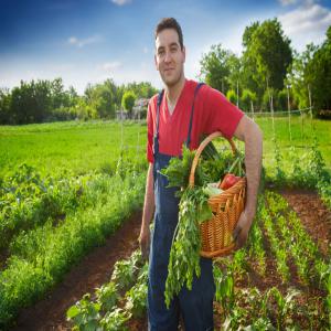 On a tous ceux qui concerne les fruits et les lég - fruits et légumes on met a votre disposition une expérience long et professionnel dans le domaine de l'agriculture . nos partenaires est dans tous les régions du maroc . --