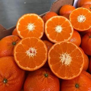 orange - fruits et légumes les oranges sont riches en fibres solubles,  pauvres en calories,  source de magnésium et de calcium--très bon prix très bon très bonne qualité et très bon service .....