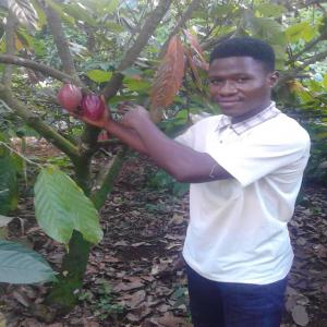 Recherche de partenaire ou investisseurs  - café cacao thé mois de juillet ,  début de la campagne cacaoyère , entreprise sarl située au cameroun précisément à douala opère dans l’achat et la commercialisation des fèves de cacao . nous commercialisons dans les différents sociétés du 