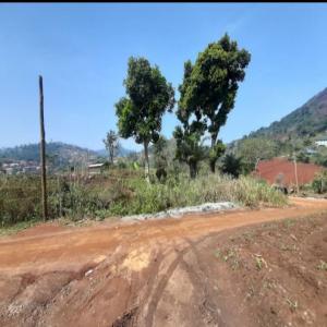 Terrain titré en vente à Yaoundé - mine terrain concession terrain titré de 1000 m2 à vendre à febe village yaoundé,   un peu après le quartier golf,   borné par 3 routes déjà tracées,  plat et facile d'accès. 40000 le mètre carré. le prix du m2 est légèrement dis