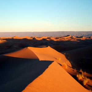 Gamme naturelle soin beauté - autres je propose ma gamme naturelle de soin beauté pour visage/corps/cheveux.--nous avons du savon noir,  ghassoul miel/argan,  gommage au sucre d'argan/ beurre de karité/miel,  crème de jour avec ses 7 huiles naturelles (onagre,  argan,  coco,  rose musquée...),  huile d'argan certif