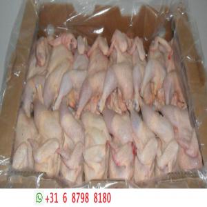 Halal Frozen Whole Chicken - meat and eggs we offer the best quality whole frozen chicken at highly competitive prices. the halal whole frozen chicken has been widely demanded across the global markets and we cater to the demand with ease. the highly nutritious whole frozen chicken can be provided in bulk quantities on a timely basis.---- --