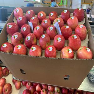 galla manzana - fruits et légumes  nous sommes une entreprise marocain de fruit et légume vente galla manza de haute qualité très bonne service très bonne prix...