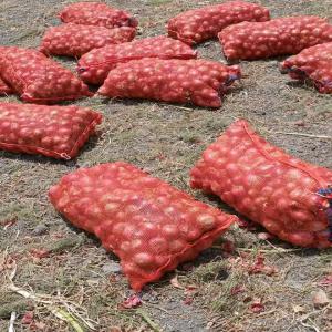 LEGUMES (OIGNONS, TOMATES...) A VENDRE - fruits et légumes je dispose des légumes ( des milliers de tonnes d'oignons rouges...)  de très bonnes qualités au sénégal à des prix très abordables.--les intéressés veuillez me contacter--