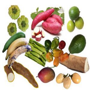 FINANCEMENT POUR QUELQUES HA DE LEGUMES ET FRUITS - fruits et légumes financement pour quelques ha de legumes et fruits----financement pour quelques ha de legumes/fruits d'afrique--notre projet consiste à vous proposer le financement d'un champ de légumes au choix de ----quelques hectares avec un devis complet de ------ location du terrain--- semences---