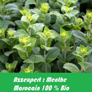 Grossiste Menthe Marocaine Bio ,Coriandre, Persil - épices aromates azzexpert bati est une société spécialisée dans le commerce de gros en herbes aromatiques fraîches bio ( menthe poivré,  menthe marocain ,  coriandre,  persil , basilic) --nous proposons aussi des huiles essentiels 100% bio et de très bonne qualité 