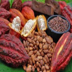 recherche des partenaires fiable pour affaire - café cacao thé je suis un collecteur et revendeur du cacao et café du cameroun je peux fournir une bonne quantité et qualité en meme temps selon les normes international vous etes sur la bonne adresse.