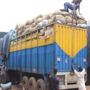 Maïs disponible  - céréales 120 tonnes de maïs biens secs livraison possible à abidjan. pas de payement à distance.  je te livre tu paye cash avant de décharger le produit. juste besoin de bon de commande et je viens avec le maïs.