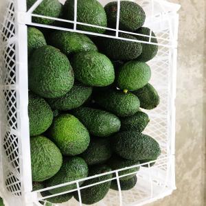 Avocat - fruits et légumes --je cherche des gens acheteur serieux pour acheté avocat avec très bonne qualité très bonne serviceet très bonne prix...--i am looking for serious buyer people to buy avocado with very good quality very good service and very good price ...