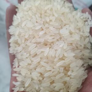 Riz pour maintenant - céréales 5 conteneurs de riz disponible au port de cotonou. bl en main!!--pas que seulement du riz tout ce qui est produits agroalimentaire importé !!--alors vite contactez nous !