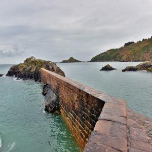 Praires pêche Bretagne - coquillage crustacé praires origine bretagne nord baie de st brieuc de mi septembre 2021 jusque 1er mai 2022. --prix fixe,  pas d'intermédiaire.