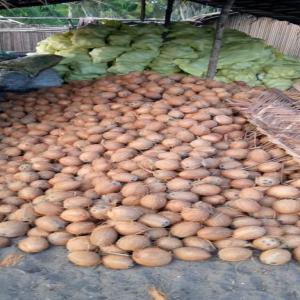 Recherche d'acheteur  - fruits secs et graines grillées bonjour, --nous sommes à la recherche d'acheteurs internationaux sérieux pour l'écoulement de nos quantités de coco depuis la côte d'ivoire. 