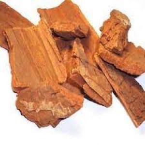 Yohimbe Bark for sell - bois charbon fibre we are supplying with yohimbe bark from cameroon- biological bark in many form (bark,  powder) from forest--contact us if interessted.