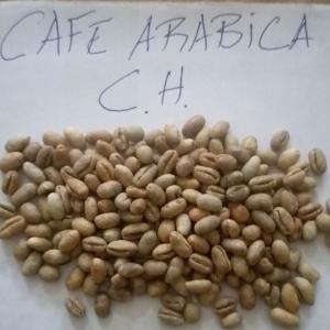 Café arabica et robusta disponible - café cacao thé bonjour tout le monde.--pour les acheteurs de café ,  nous disposons une quantité de plus de 6000mt d'arabica de grades - ah, bh, ch, dh, fh et café robusta plus de 10.000mt de grades - gg,  g1, g2, g3--origine - cameroun--contactez nous par email ou whatsapp