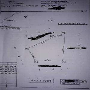 TERRAIN AGRICOLE SUR MBORO A VENDRE - horticulture plante biocarburant un terrain à usage agricole,  d'une superficie de 1hectare 32 ares situé à mboro (senegal). idéal pour ferme agricole,  agriculture,  maraîchage,  élevage etc----prix- 5.000.000 fcfa. (prix peu négociable)