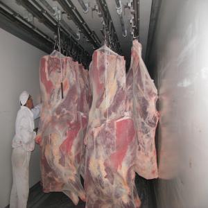 viandes bovines - viandes et oeufs grand abattoir polonais,  vous propose viande bovine en carcasses fraiche ou désossée sous vide(bœufs,  génisses,  vaches) équipé moderne possédant toutes les autorisations vétérinaires,  sanitaires européenne.--possédant certif