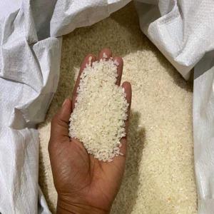 Riz japonais (Hinohikari) - céréales riz japonais (hinohikari) disponible à antananarivo pour exportation.--le riz hinohikari est un hybride de riz koshihikari et de riz koganebare. ce riz est très apprécié des professionnels de la restauration,  idéal pour les sushi,  boulette de riz et risotto.--